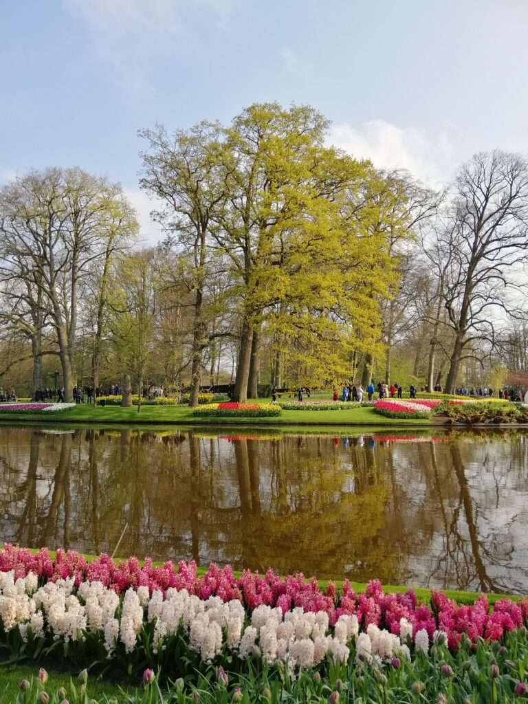 Keukenhof Gardens