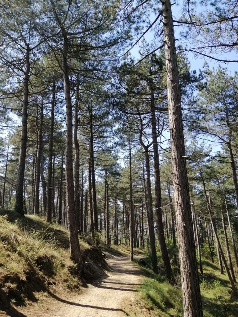 Zuid-Kennemerland National Park