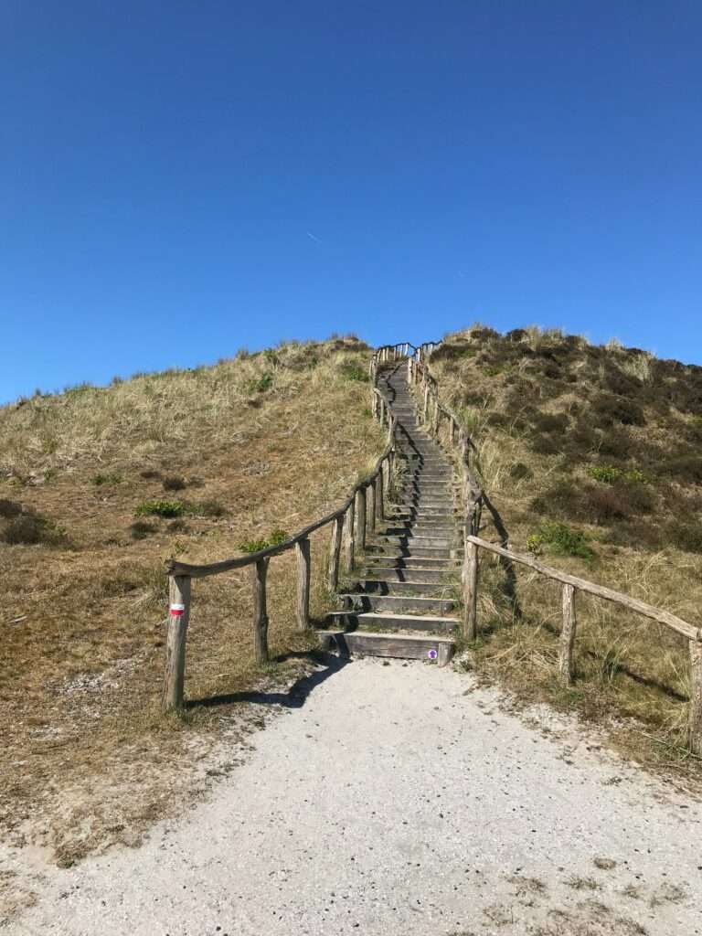 Schoorlse Duinen